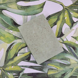 Rejuvenating Eucalyptus Bar Soap