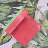 Watermelon Sugar Bar Soap